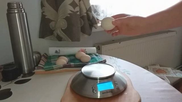 Какого петуха оставить в хозяйстве. Какого петуха оставить зимовать в курятнике.