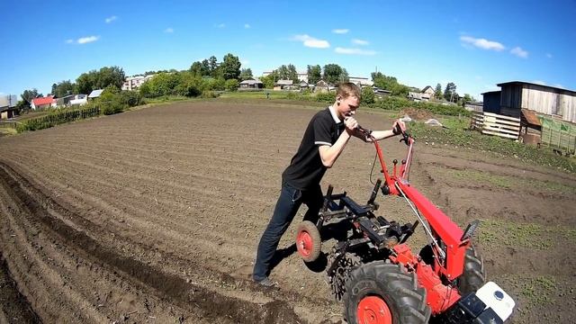 Молодым везде у нас дорога.Мотоблок МТЗ-09.Обрабатываем картошку ежами.Сашка заправщик мотоблоков.) смотреть онлайн