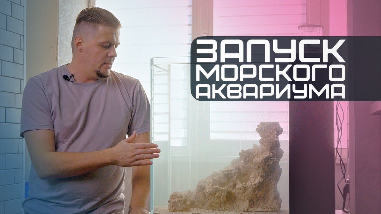 Запуск морского аквариума