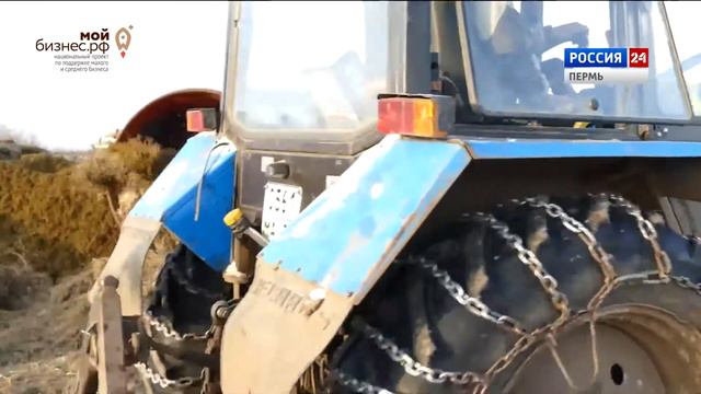 Проект Истории успеха - сюжеты об успешных предпринимателях Пермского края. Эльмир Мардамшин. смотреть онлайн