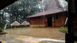 Rain Sounds for Sleeping | Thunder Sounds, Sleep Instantly with Heavy Rain