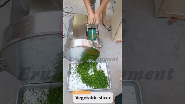 Slice Vegetables Quickly Using Eruis Vegetable Slicer