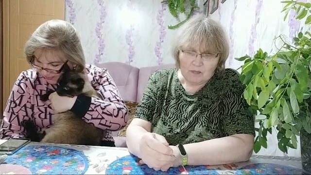 Ужин с Друзьями ???