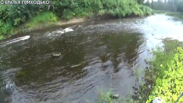 РЫБАЦКОЕ СЧАСТЬЕ / ЗАКЛЮЧИТЕЛЬНЫЙ ДЕНЬ ТРЕХДНЕВНОГО СПЛАВА