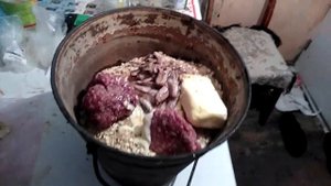 Приманка для крыс в домашних условиях