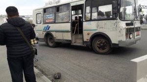 автобус паз 32054, а064ха174, маршрут 33, автобус паз 32053, в690кн174, маршрут 92