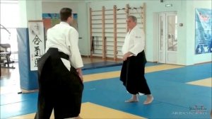 Найдов-Железова О.К. Семинар Айкидо, работа над ошибками 1