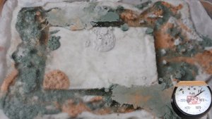 Как сделать вакуумный стол для отливки гипса без дорогостоящего оборудования