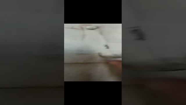 дом в Мшинской