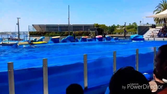 Mallorca/Marineland смотреть онлайн