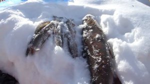 Зимняя рыбалка на Алдане