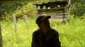 кедровые шишки\изба\на верхушке кедрового дерева