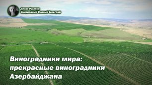 Виноградники мира: прекрасные виноградники Азербайджана
