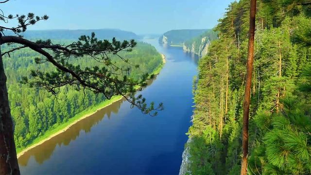 ОБ ЭКСПАНСИИ РАСТЕНИЙ БОРЩЕВИКА И ПАСТЕРНАКА