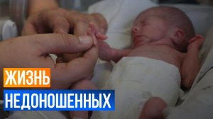 Более 6% недоношенных малышей в Казани рождаются с экстремально низкой массой тела