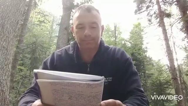 "Ведьмина гора". Швейцарская сказка, часть 1