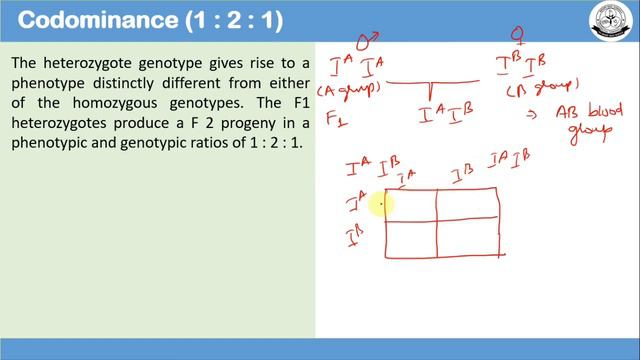 XII CHAP 2 Co dominance, lethal gene and pleotropy смотреть онлайн