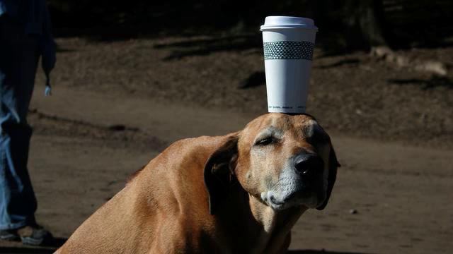 Крутая песня для авто онлайн смотреть онлайн