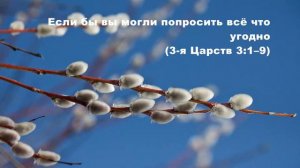 06.04.2015 Соломон просит мудрости (3-я Царств 3:1–15)