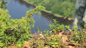Река моего детства. Река Усьва в Пермском крае.