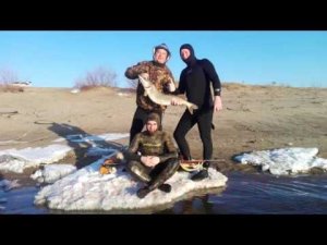 Один весенний день на Волге! Подводная охота в Волгограде!