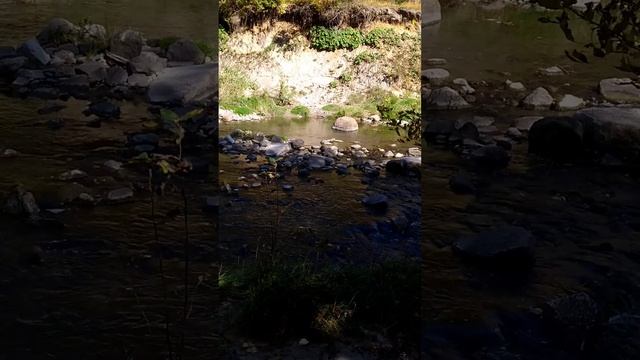 Scarborough creek on its way to Lake Ontario #shorts #toronto #scarborough #canada