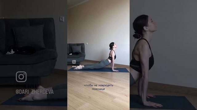 переход из собаки мордой вниз а собаку мордой вверх смотреть онлайн