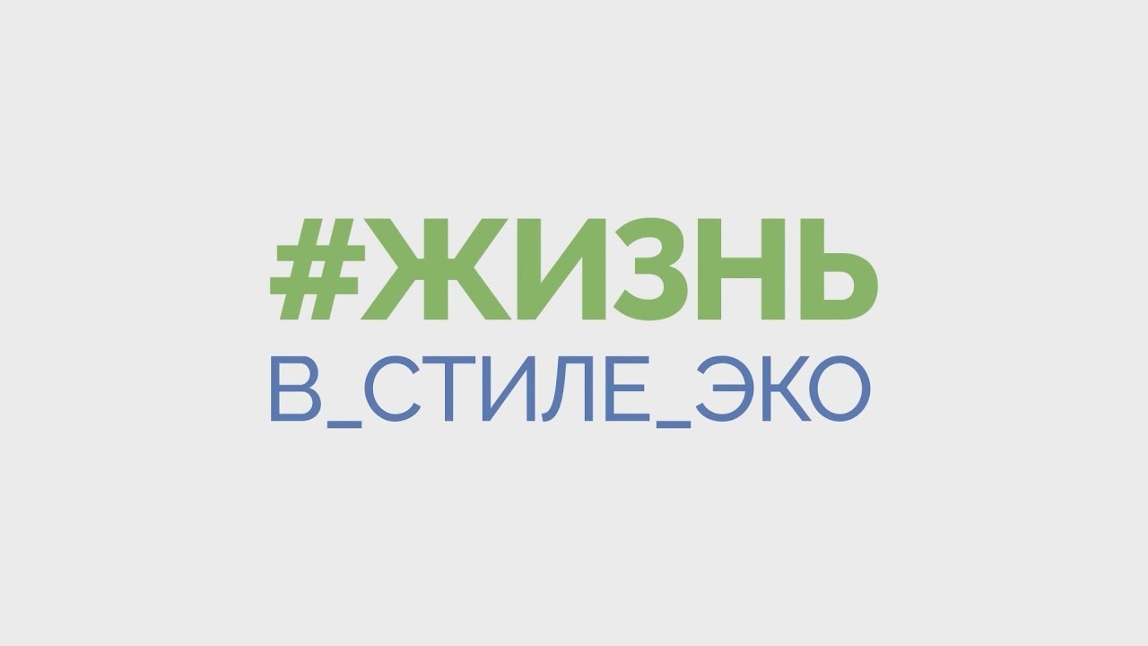 В СТИЛЕ ЭКО _ Первый экологический лагерь для детей работников ПАО _Газпром