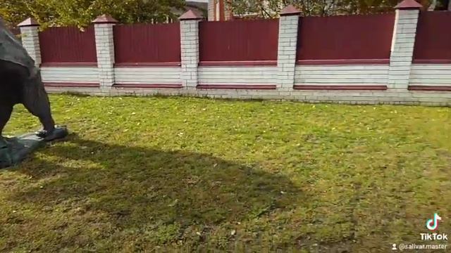 Медведь Скульптура на заказ Воронеж из Бетона смотреть онлайн