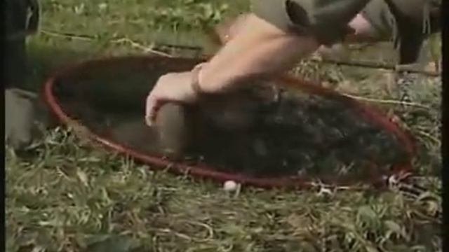 Ловля форели. Рыбалка. Trout Fishing With Des Taylor.