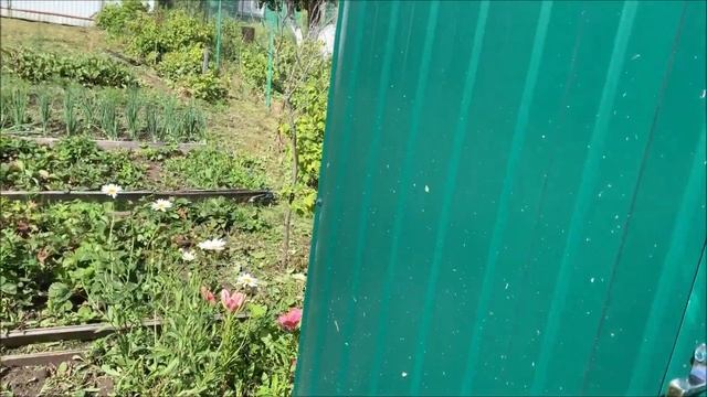 УРА!!! Купили дачу. Планировка участка. Постройка Бани. Част №1 смотреть онлайн