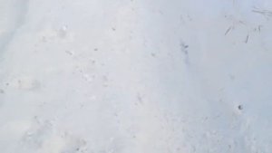 мицубиси паджеро ио зезжает на горку. без лопаты жизни нет))