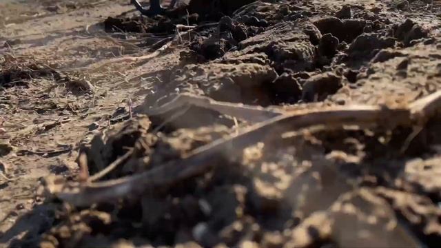 Старинная дорога! XV-XVIIвеков. Металлоискатель Vanquish 540 Minelab #vanquish540 #коп #камрад смотреть онлайн