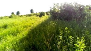 рыбалка на реке Каргат