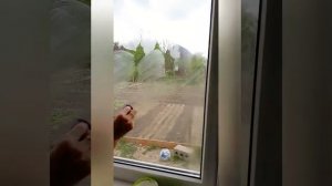 Бережно очищаем окно от следов штукатурки