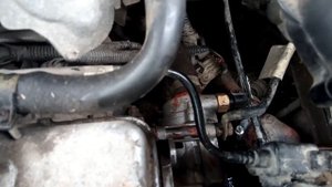 Гранта СОД на калину