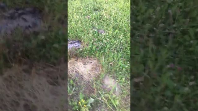 Малиновской озеро Демьянова Ленинск-Кузнецкий район смотреть онлайн