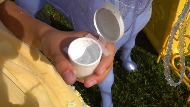 София и салон красоты для Принцесс и их Королевских питомцев смотреть онлайн