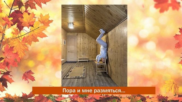 Новосибирский зоопарк Золотой осенью смотреть онлайн