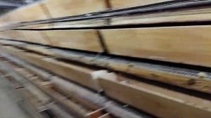 перепелиная ферма на 20000 голов.(2)