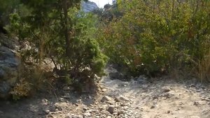 ЦАРСКИЙ ПЛЯЖ/ НОВЫЙ  СВЕТ / КРЫМ