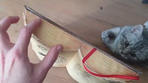 Книга из пенопласта