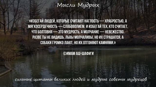 Почему я не Знал Этого Раньше! Сильные Цитаты и Советы Мудрецов Раскрывающие Правду о Жизни.