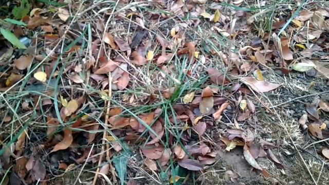 КОГДА ВЫ ГОВОРИТЕ ИМ ЧТО ЭТО ХАРАМ, ОНИ ГОВОРЯТ... смотреть онлайн