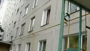 Собака загрызла ребенка
