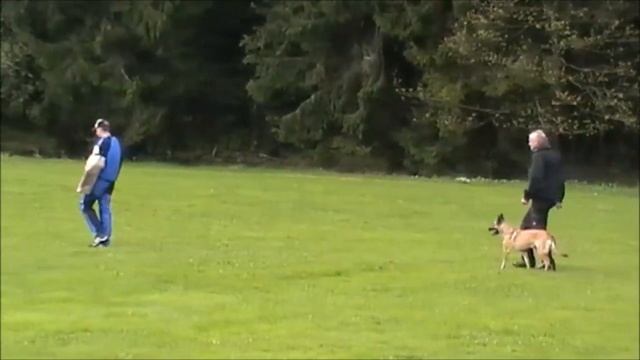 Amelie SD IPO 2 смотреть онлайн