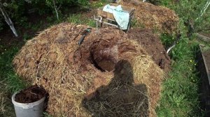 Посев кабачков и тыквы