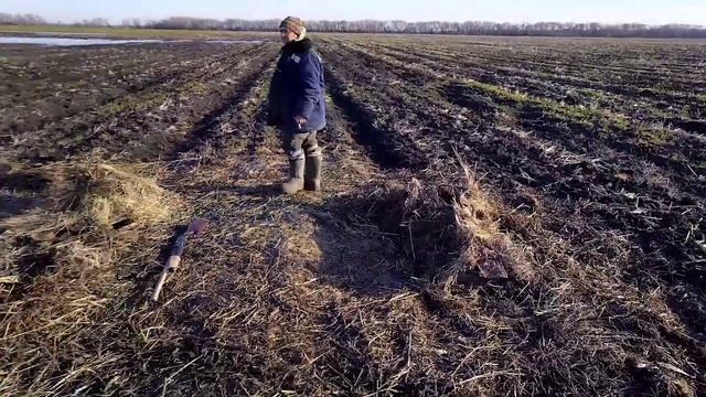 Охота на гуся 2023г смотреть онлайн