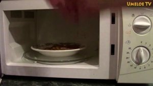 Что будет, если положить хворост в микроволновку???