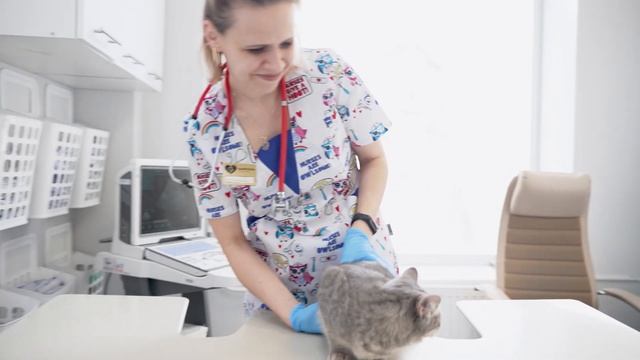 Ветклиника Барсель смотреть онлайн